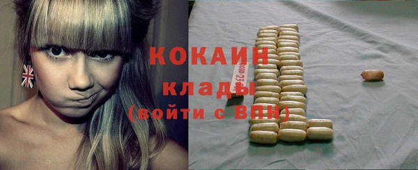индика Аркадак