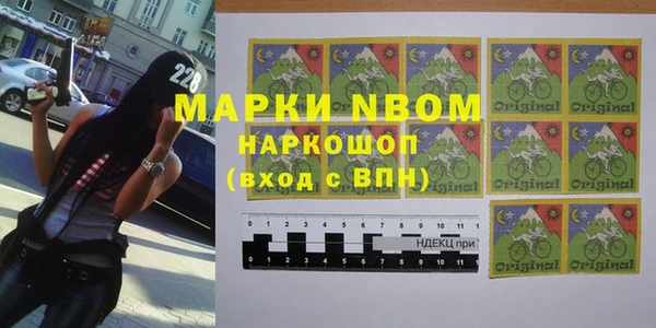 индика Аркадак