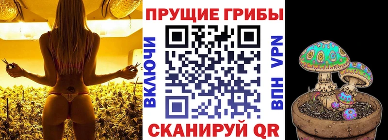 Псилоцибиновые грибы Psilocybe  наркошоп  Асино 